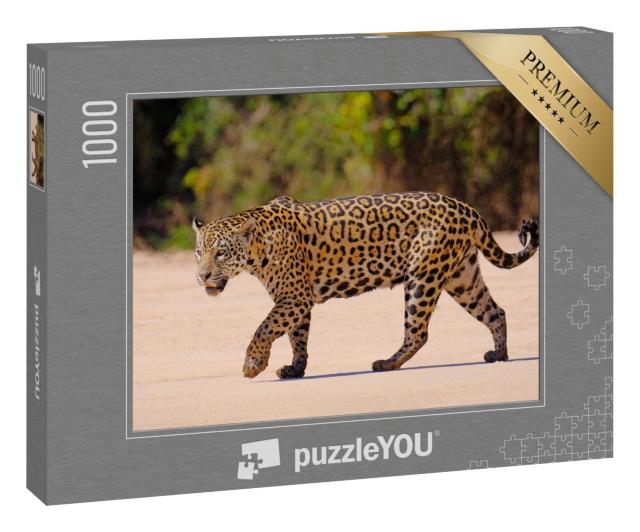 Puzzle 1000 Teile „Weiblicher Jaguar, Panthera Onca, Brasilien, Südamerika“