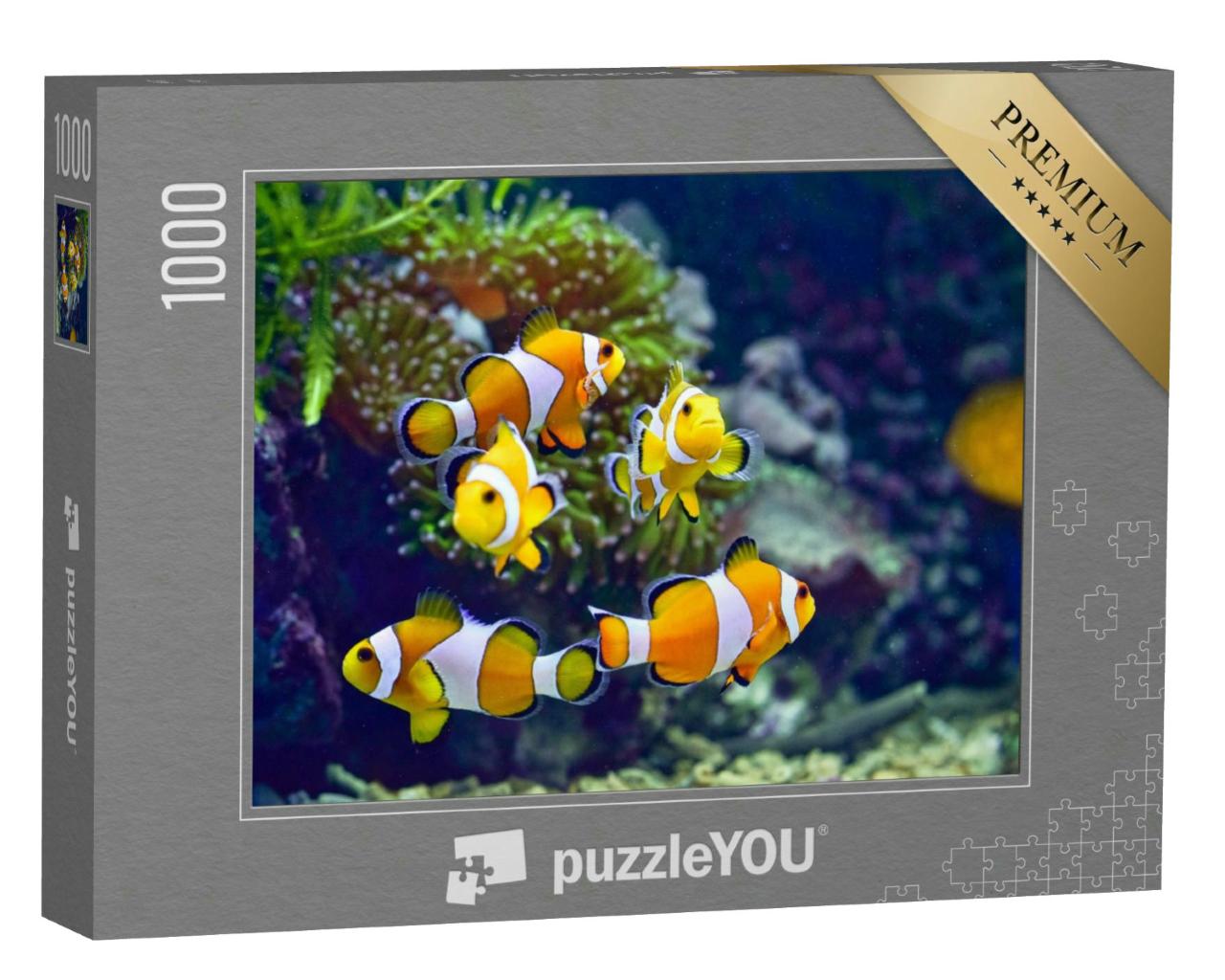 Puzzle 1000 Teile „Clownfische“