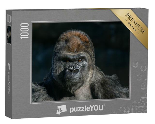 Puzzle 1000 Teile „Westlicher Flachlandgorilla  “