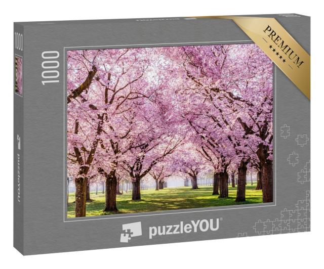 Puzzle 1000 Teile „Sakura-Kirschblüten-Allee in einem wunderschönen Park“