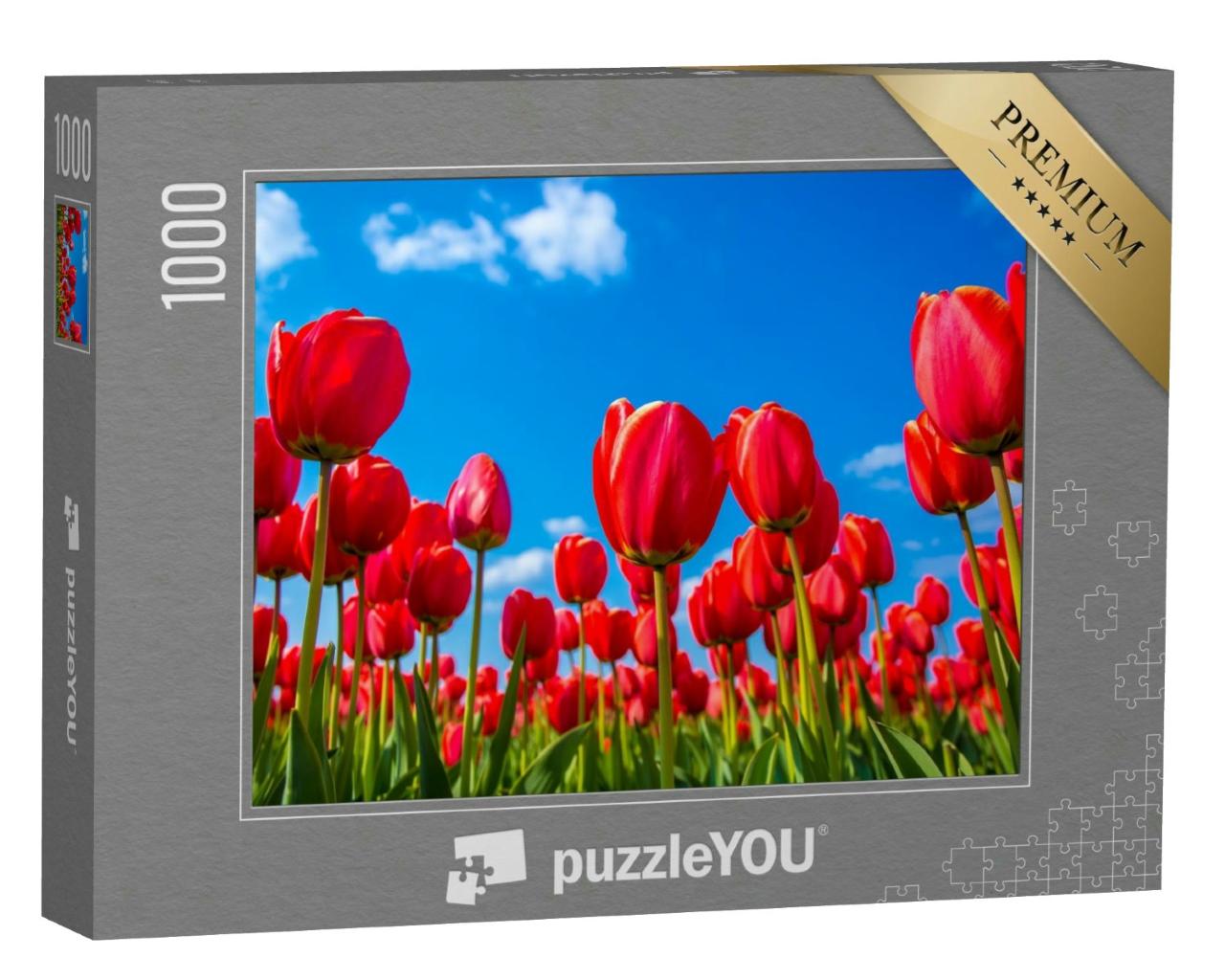 Puzzle 1000 Teile „Rote Tulpen von unten “