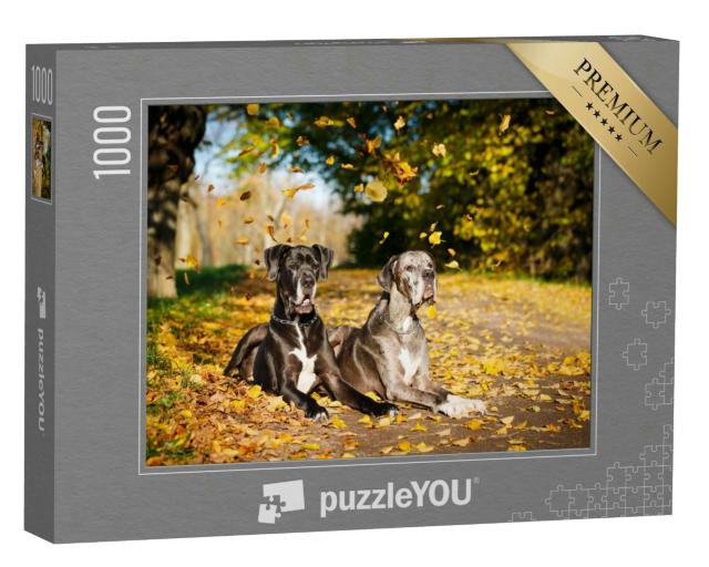 Puzzle 1000 Teile „Zwei Doggenhunde“