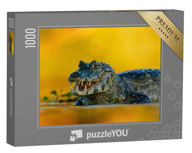 Puzzle 1000 Teile „Yacare-Kaiman, ein Krokodil im Fluss, Pantanal, Brasilien“