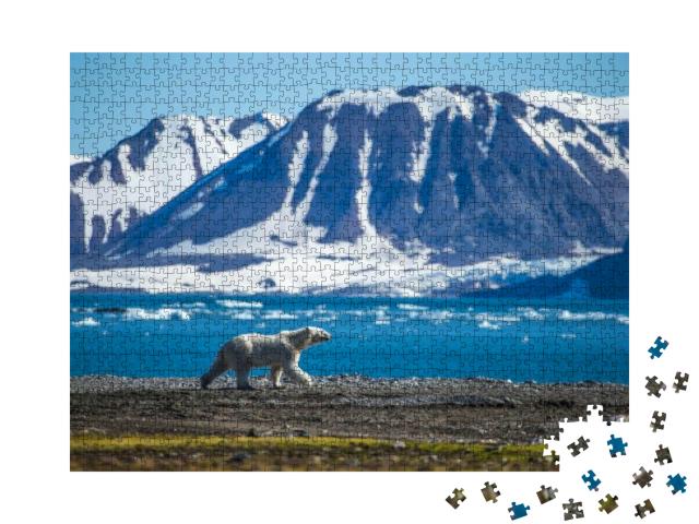 Puzzle 1000 Teile „Ein Eisbär im südlichen Spitzbergen“