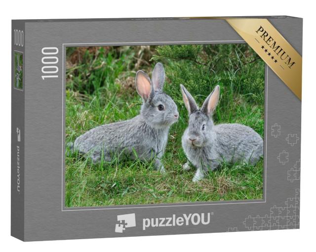 Puzzle 1000 Teile „Flauschige graue Kaninchen auf dem grünen Gras“