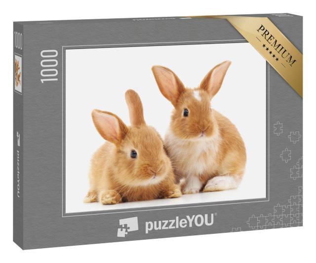 Puzzle 1000 Teile „Zwei kleine hellbraune Kaninchen“
