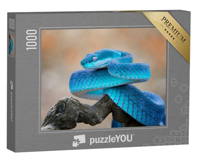 Puzzle 1000 Teile „Blaue Viper “