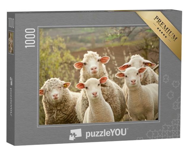 Puzzle 1000 Teile „Neugierige Schafe “