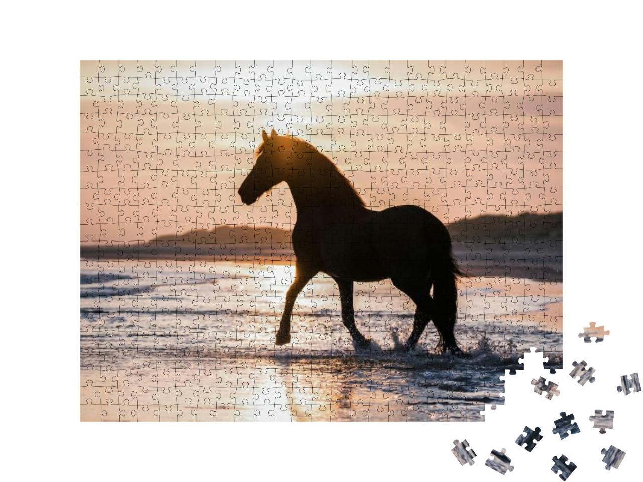 Puzzle 500 Teile „Schwarzes Pferd trabt frei am Strand gegen das Abendlicht“