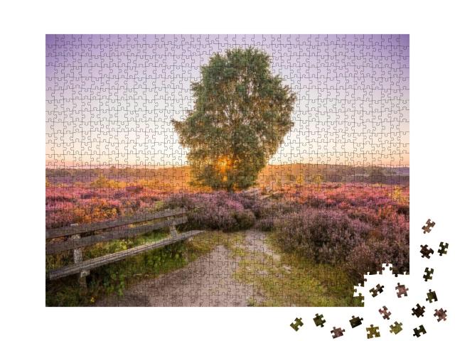 Puzzle 1000 Teile „Bunte Heidelandschaft im Sonnenaufgang, Nationalpark Hoge Veluwe, Niederlande“