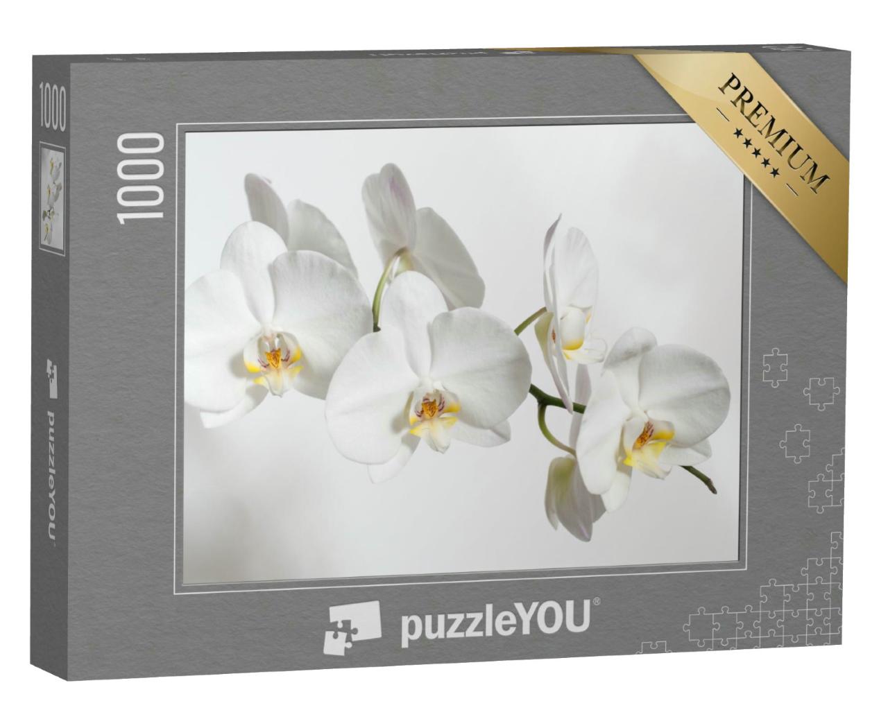 Puzzle 1000 Teile „Bezaubernde weiße Orchidee “