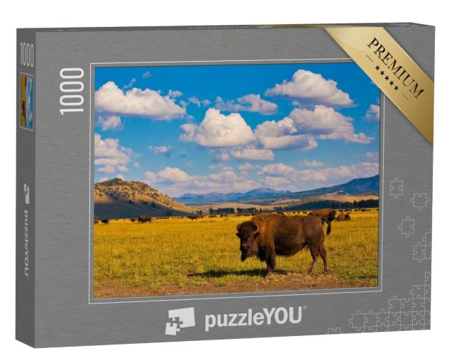 Puzzle 1000 Teile „Freiheit für Bisons im Yellowstone-Nationalpark, USA“
