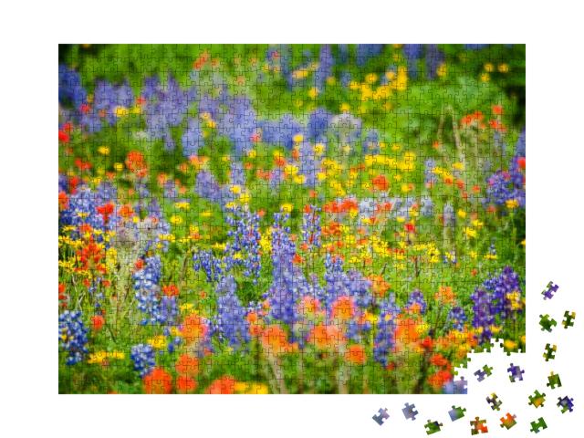 Puzzle 1000 Teile „Lupine, Indian Paintbrush und Yellow Asters“