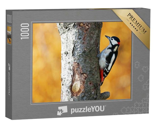 Puzzle 1000 Teile „Buntspecht im herbstlichen Wald“