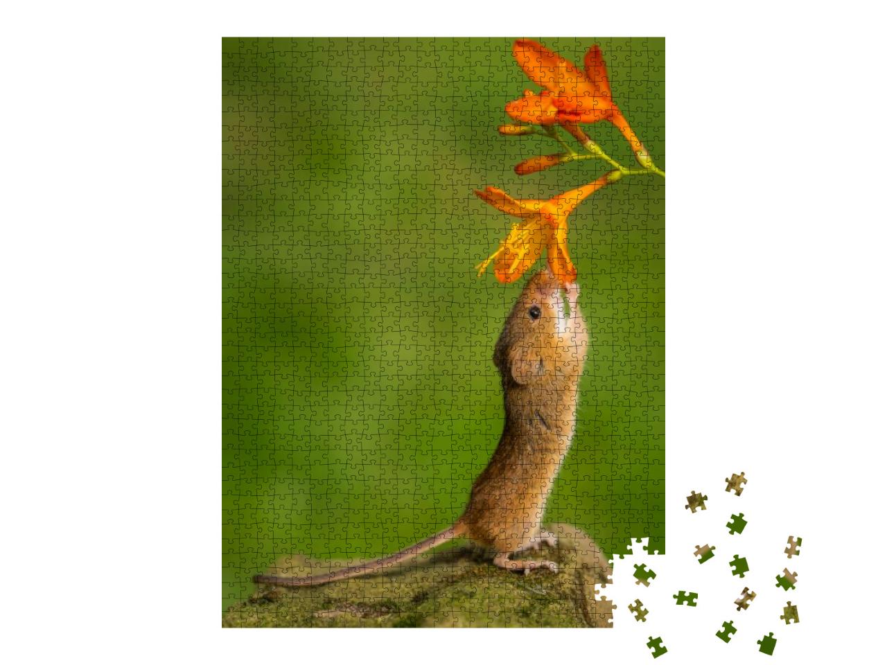 Puzzle 1000 Teile „Kleine Maus mit Blume“