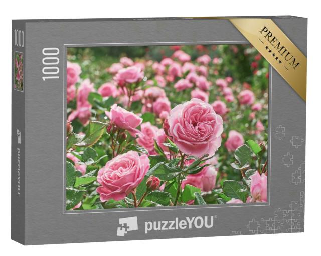 Puzzle 1000 Teile „Ein Meer von rosa Rosen“