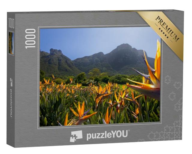 Puzzle 1000 Teile „Strelitzienblüten in den Kirstenbosch Gärten“