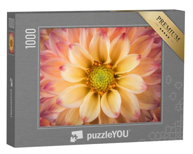 Puzzle 1000 Teile „Eine Dahlie in einer Nahaufnahme“