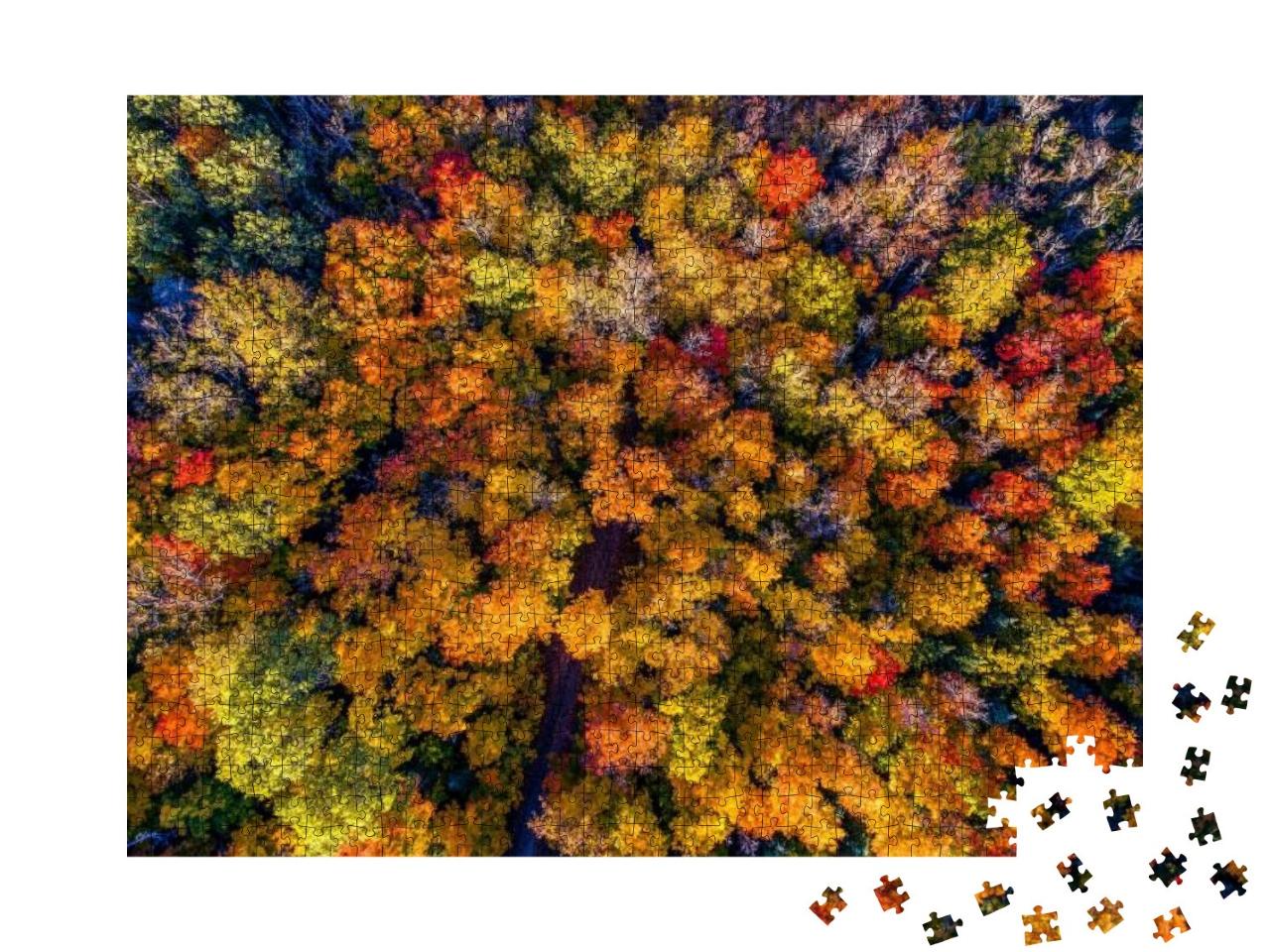 Puzzle 1000 Teile „Wunderschöner Herbstwald aus der Vogelperspektive“