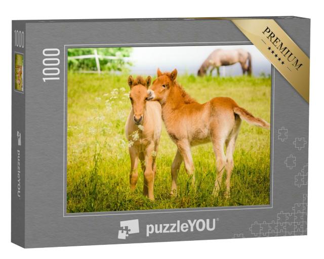 Puzzle 1000 Teile „Spielende Fohlen auf der Wiese“