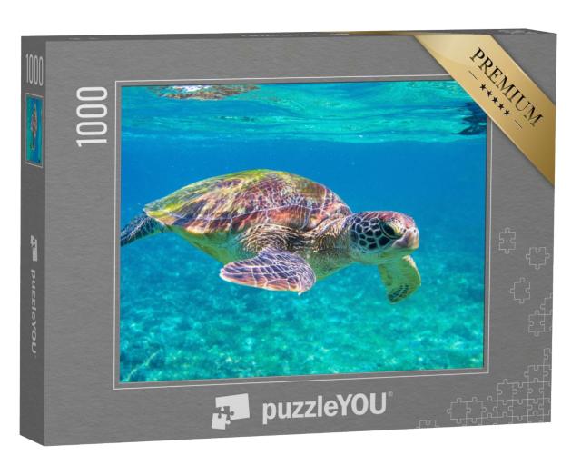 Puzzle 1000 Teile „Meeresschildkröte“