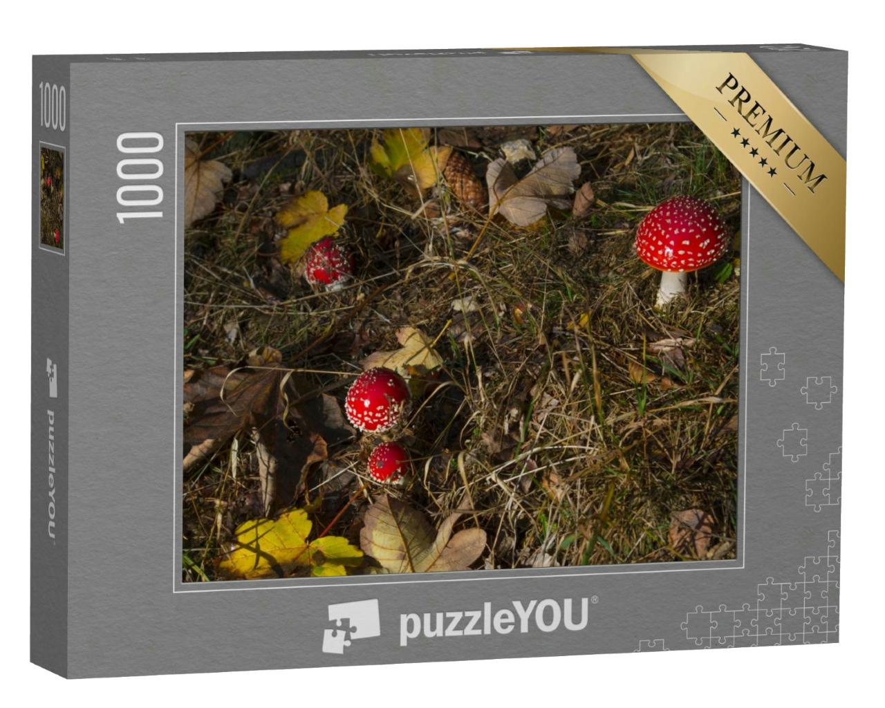 Puzzle 1000 Teile „Amanita muscaria, giftiger Fliegenpilz“