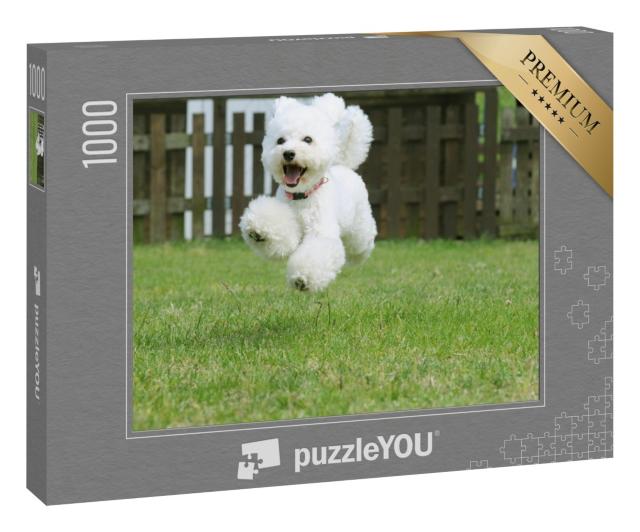 Puzzle 1000 Teile „Weißer Zwergpudel beim Spielen im Garten“