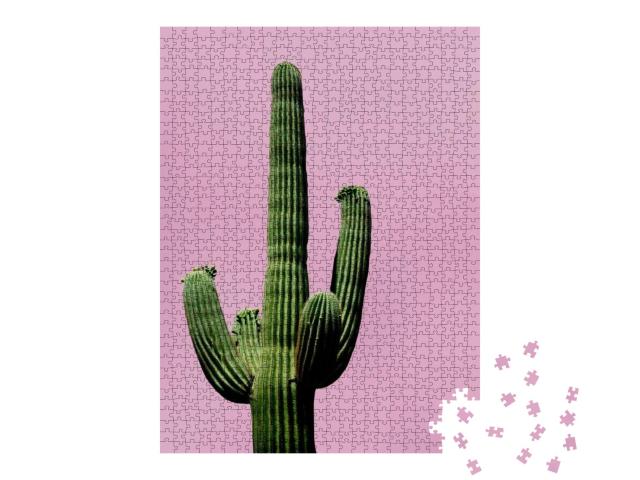 Puzzle 1000 Teile „Minimalistische Ansicht: Kaktus auf rosa Hintergrund“