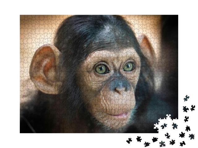 Puzzle 1000 Teile „Porträt eines Schimpansenbabys in Pilsen, Tschechische Republik“