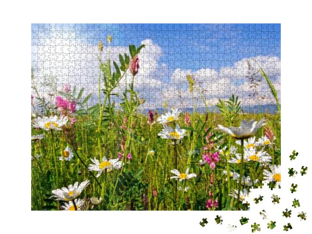 Puzzle 1000 Teile „Blumenwiese im Sommer mit Gänseblümchen“