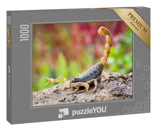 Puzzle 1000 Teile „Skorpion in Angriffsposition“