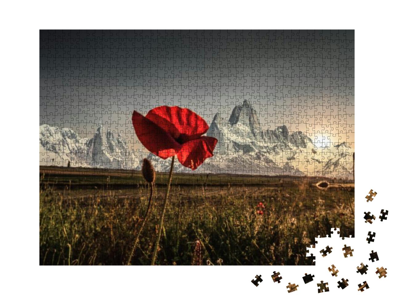Puzzle 1000 Teile „Rote Mohnblume“