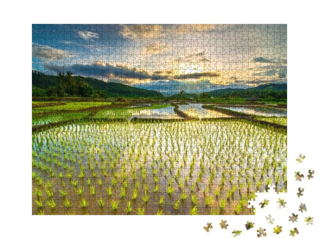 Puzzle 1000 Teile „Schöne Reisfelder“