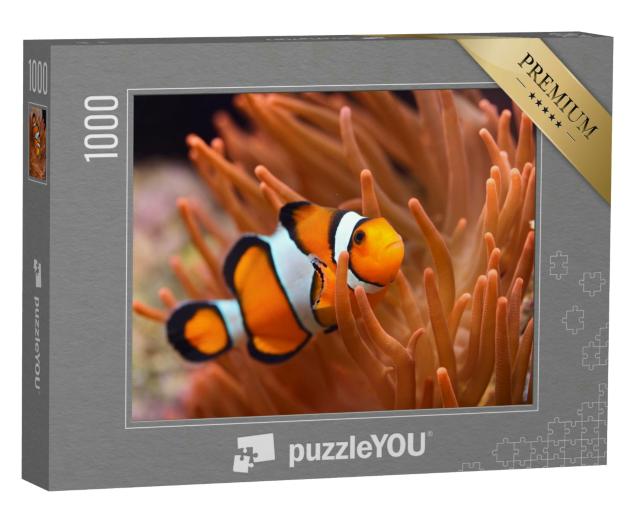 Puzzle 1000 Teile „Clownfisch im Meerwasseraquarium“