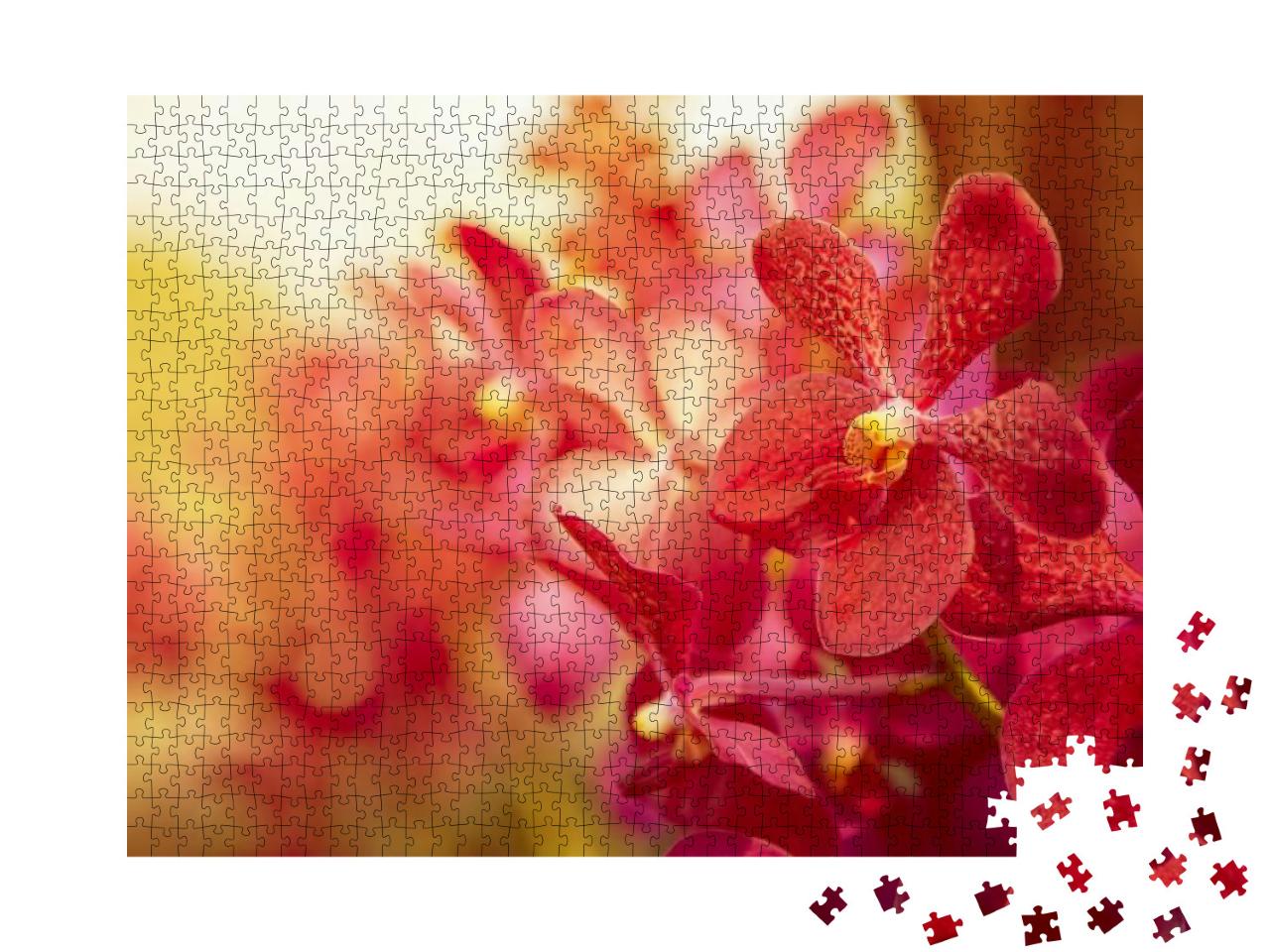 Puzzle 1000 Teile „Wunderschöne Orchidee im Abendlicht“