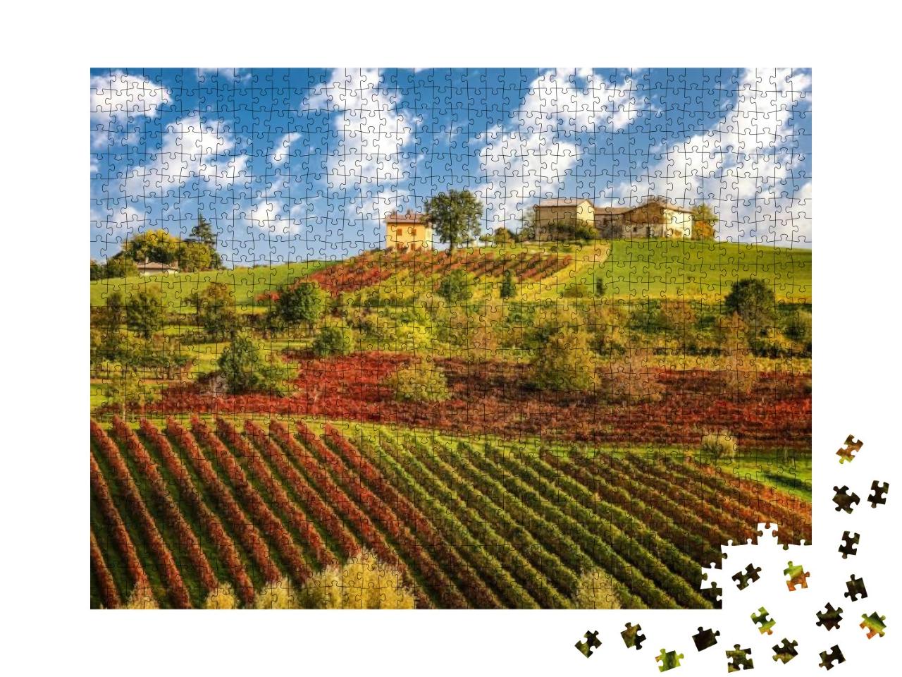 Puzzle 1000 Teile „Lambrusco-Weinberge bei Castelvetro, Emilia Romagna, Italien“