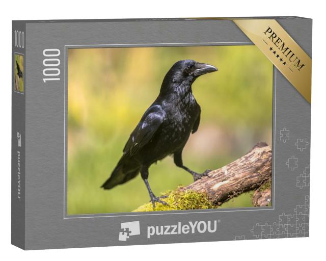 Puzzle 1000 Teile „Schwarze Aaskrähe auf einem moosbewachsenen Baumstamm“