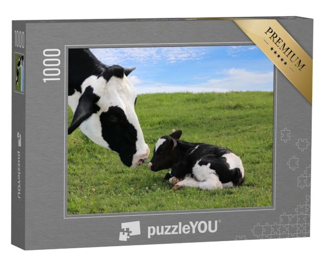 Puzzle 1000 Teile „Holstein-Mutterkuh mit ihrem neugeborenen Kalb“