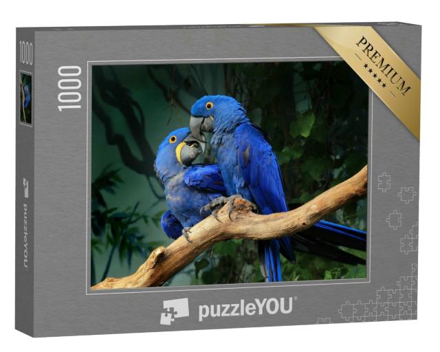 Puzzle 1000 Teile „Ein Paar blauer Hyazinth-Aras berührt sich mit den Schnäbeln“