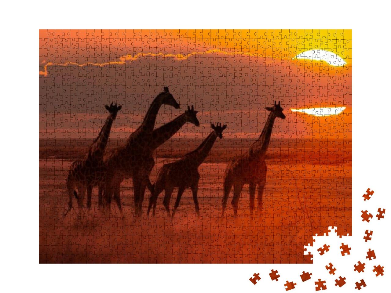 Puzzle 1000 Teile „Giraffenherde im Sonnenuntergang, Savanne in Afrika“