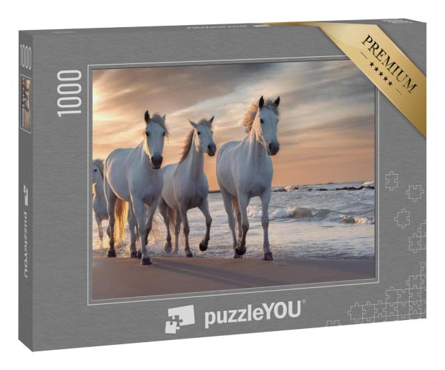 Puzzle 1000 Teile „Die weißen Pferde der Camargue, Frankreich“
