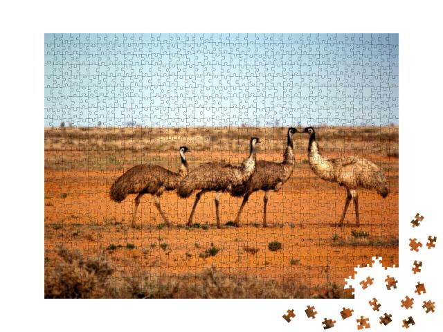 Puzzle 1000 Teile „Emus in freier Wildbahn, Outback New South Wales, Australien.“