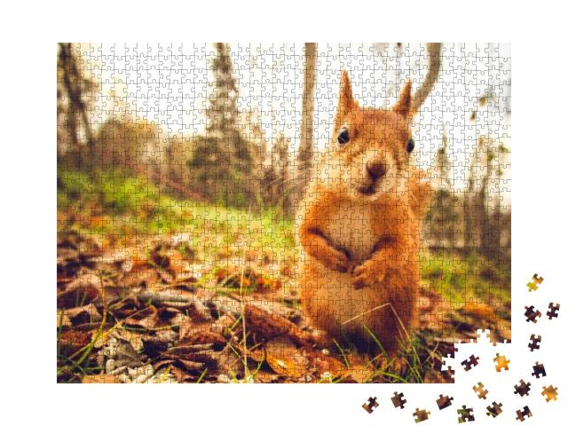 Puzzle 1000 Teile „Eichhörnchen “