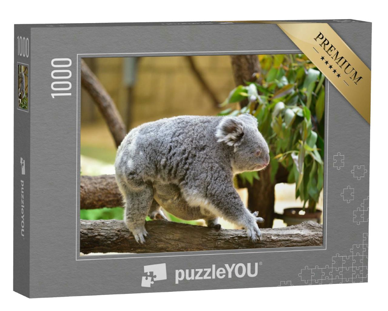 Puzzle 1000 Teile „Koala-Baby klammert sich an den Bauch seiner Mutter“