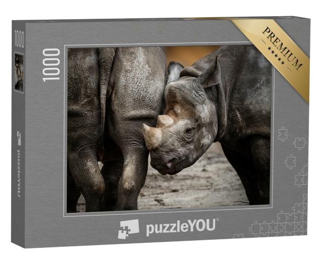 Puzzle 1000 Teile „Ein Nashornjunges“