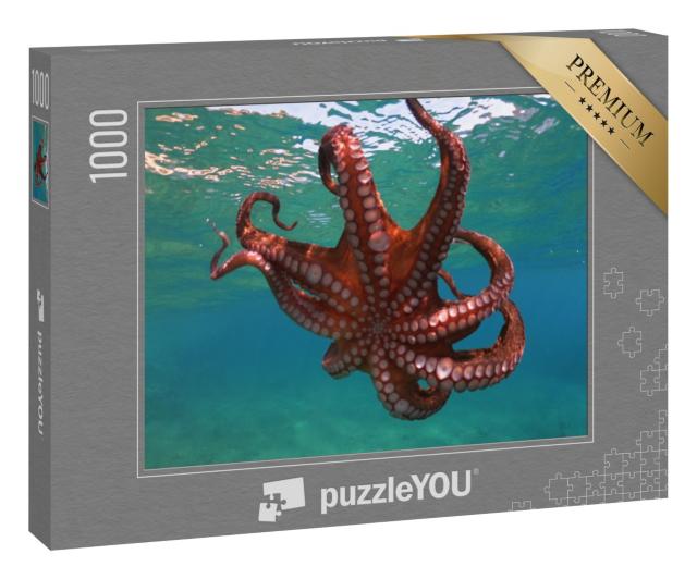 Puzzle 1000 Teile „Oktopusse schwimmen in tropischer Bucht“