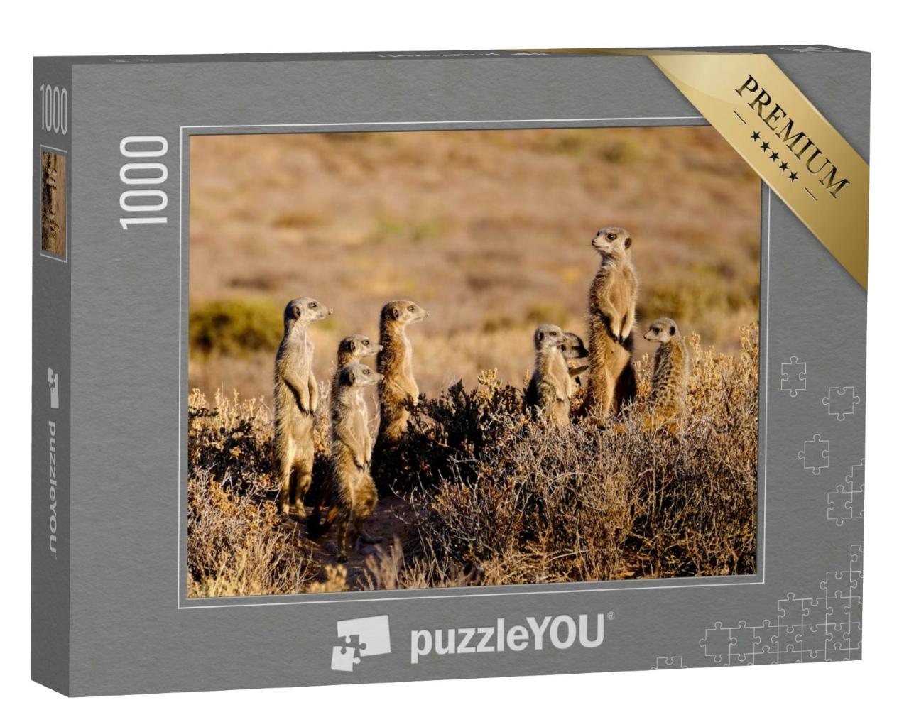 Puzzle 1000 Teile „Eine niedliche Erdmännchen-Familie am frühen Morgen“