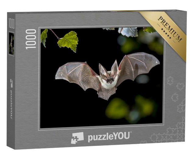 Puzzle 1000 Teile „Fledermaus bei der Jagd im Wald“
