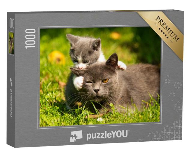 Puzzle 1000 Teile „Katzenmutter mit ihrem kleinen Kätzchen im Gras“
