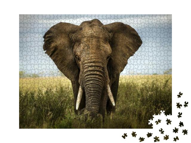 Puzzle 1000 Teile „Portrait eines Elefanten“